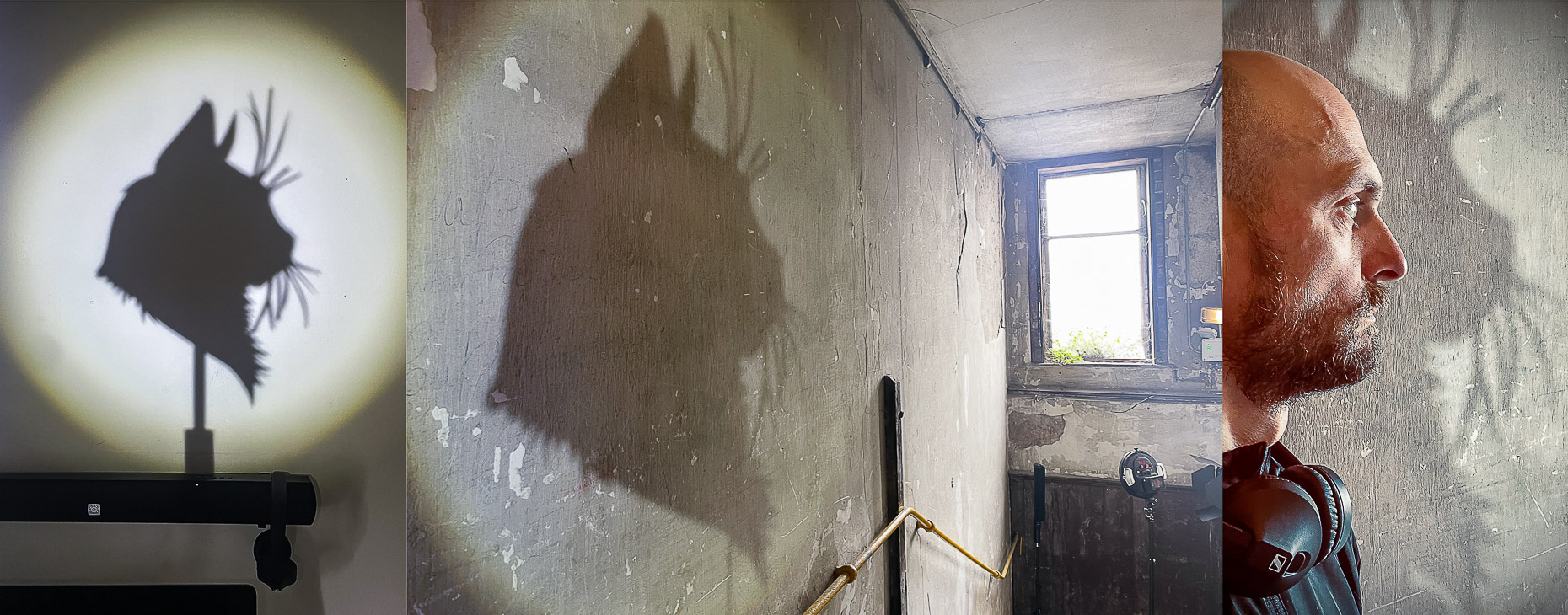 A triptych of test photographs by a leading Cork-based theatre photographer, exploring shadow and silhouette. The left panel shows a crisp, circular spotlight illuminating the sharp shadow of a cat's head with prominent ears and whiskers. The middle panel features a much larger, more diffuse shadow of the same cat's head cast upon a textured, possibly distressed, wall next to a staircase with a brass handrail, and a window in the background. The right panel is a close-up profile of a person with a bald head and a beard, wearing headphones, looking towards the right, with a large, textured shadow of what appears to be the same cat's head partially visible behind them on a textured wall.